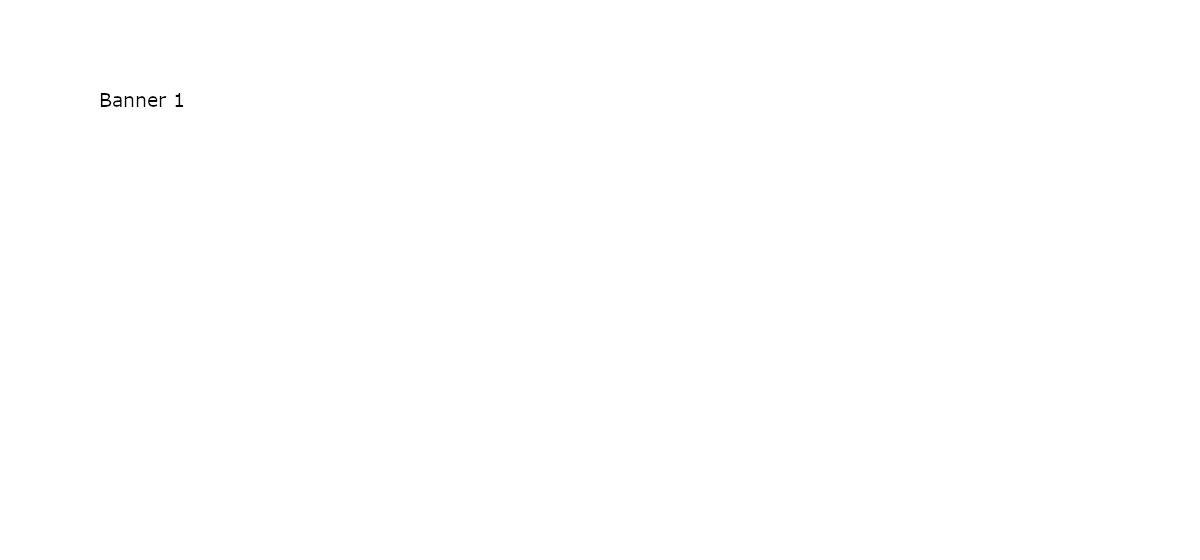 Banner 1